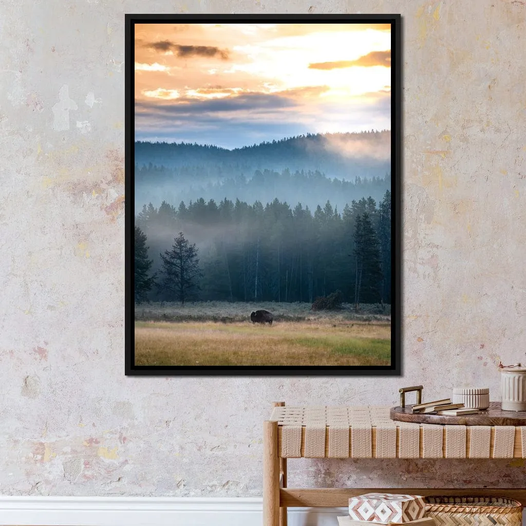 Buffalo Sunrise - Lucas Moore