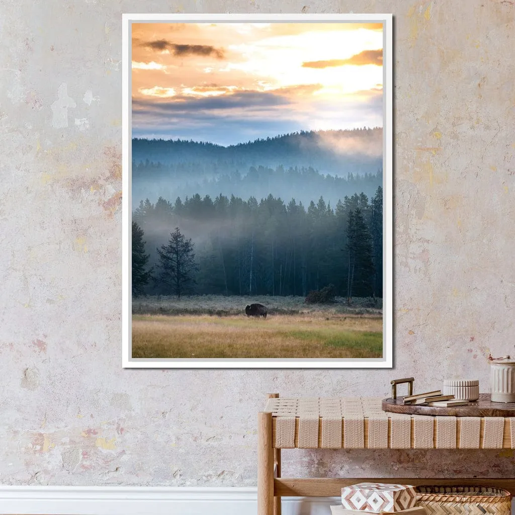 Buffalo Sunrise - Lucas Moore