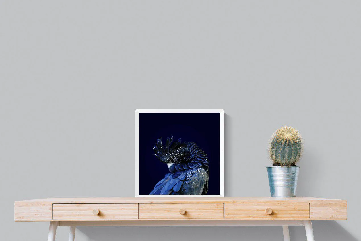Cockatoo