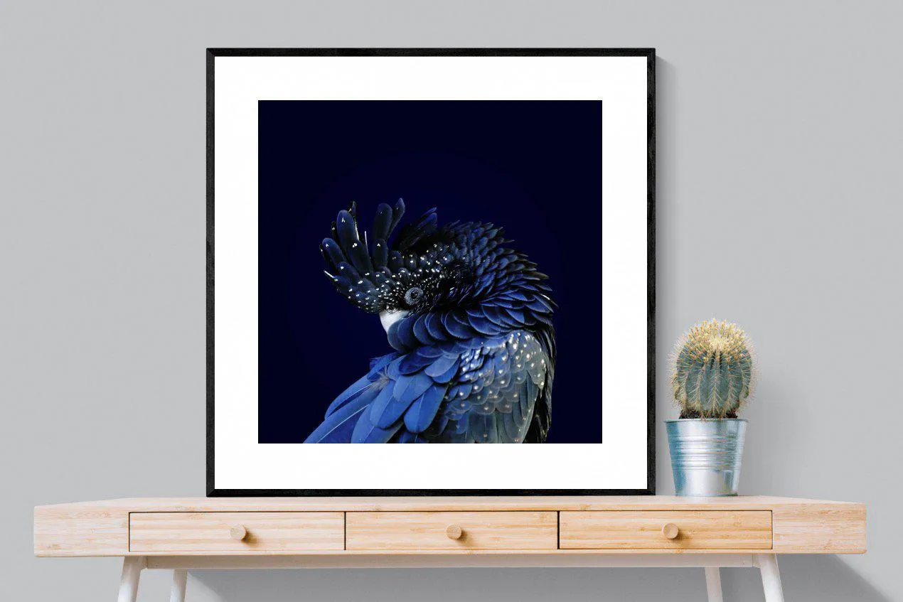 Cockatoo