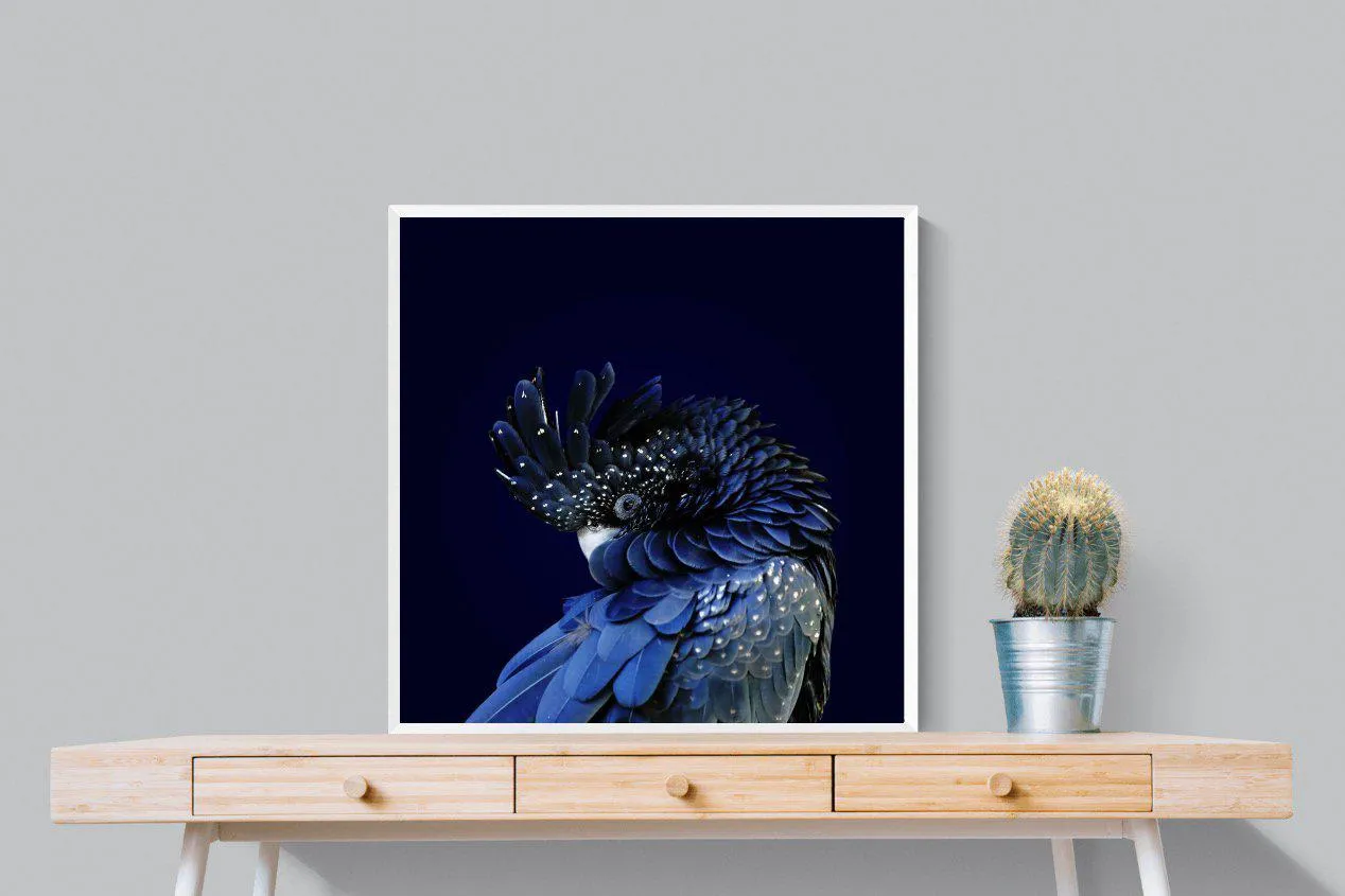Cockatoo