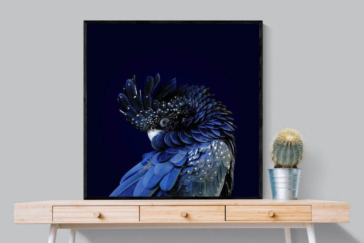 Cockatoo