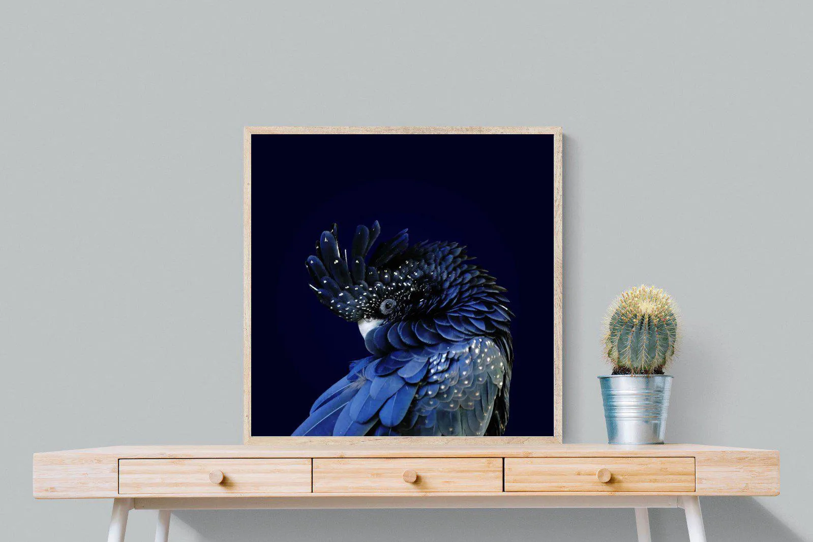 Cockatoo