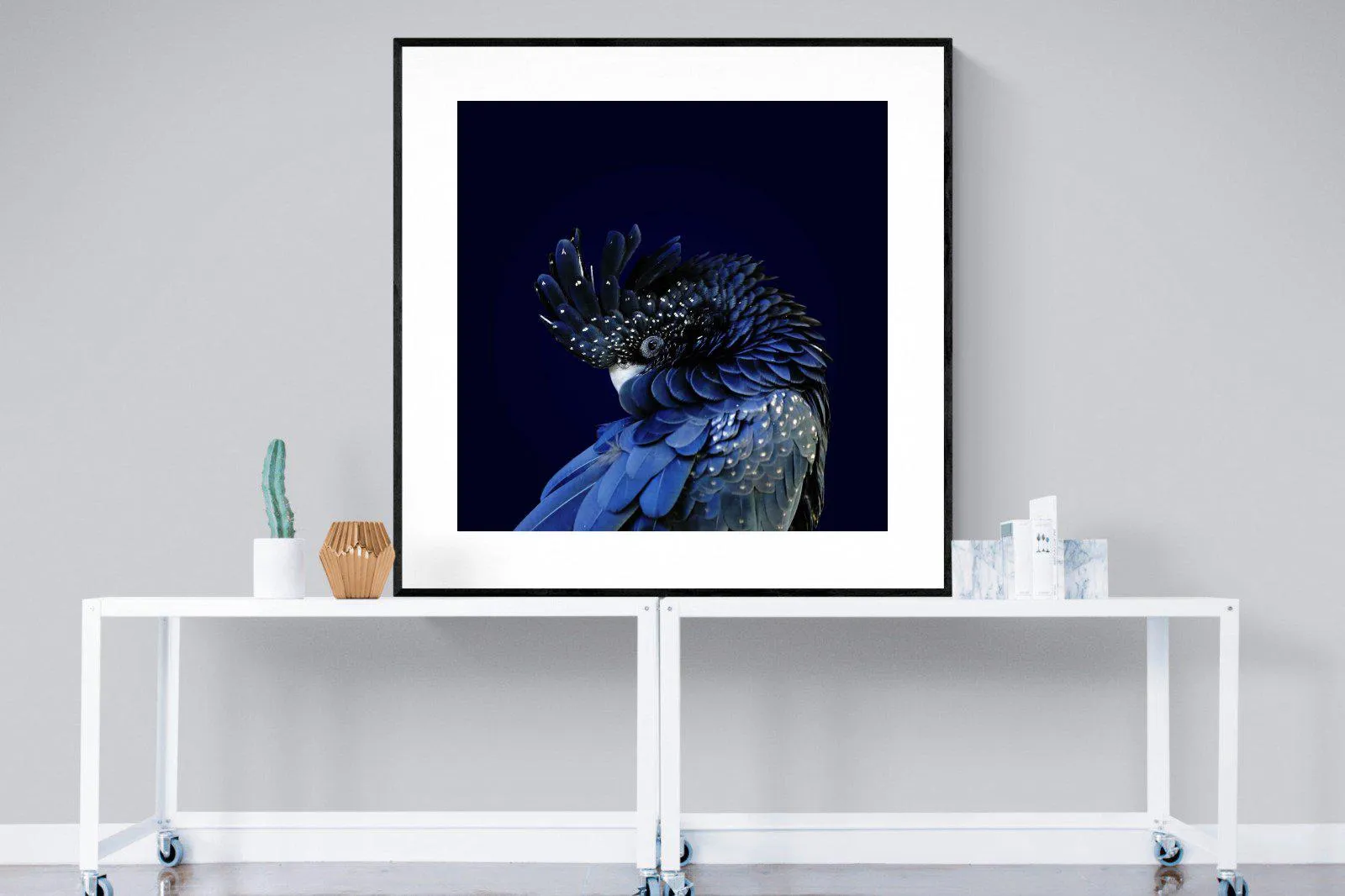Cockatoo
