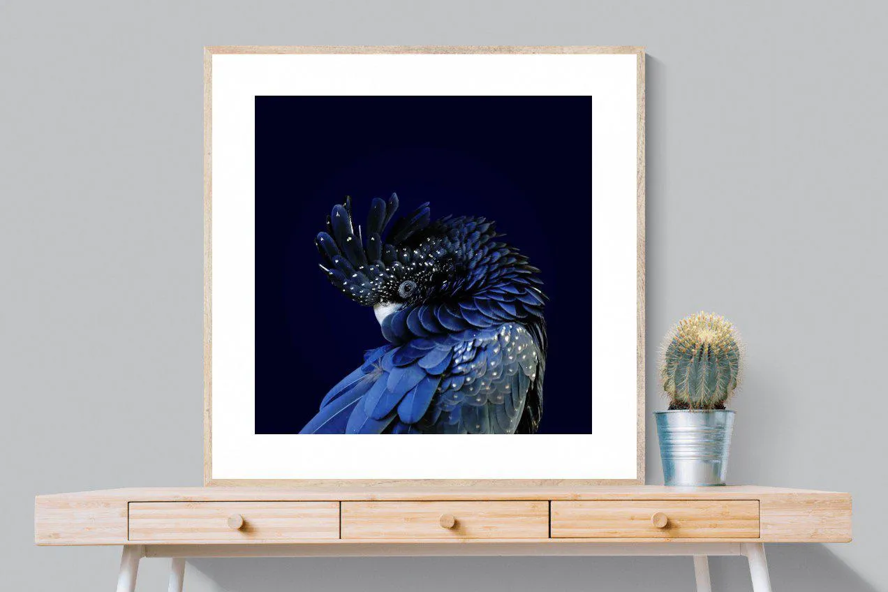 Cockatoo