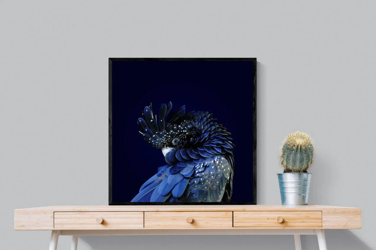 Cockatoo