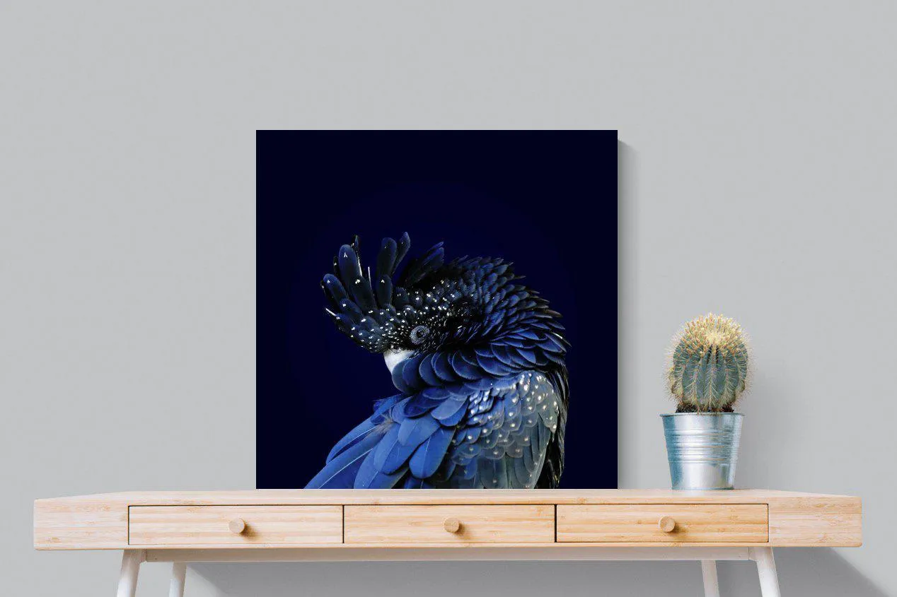 Cockatoo