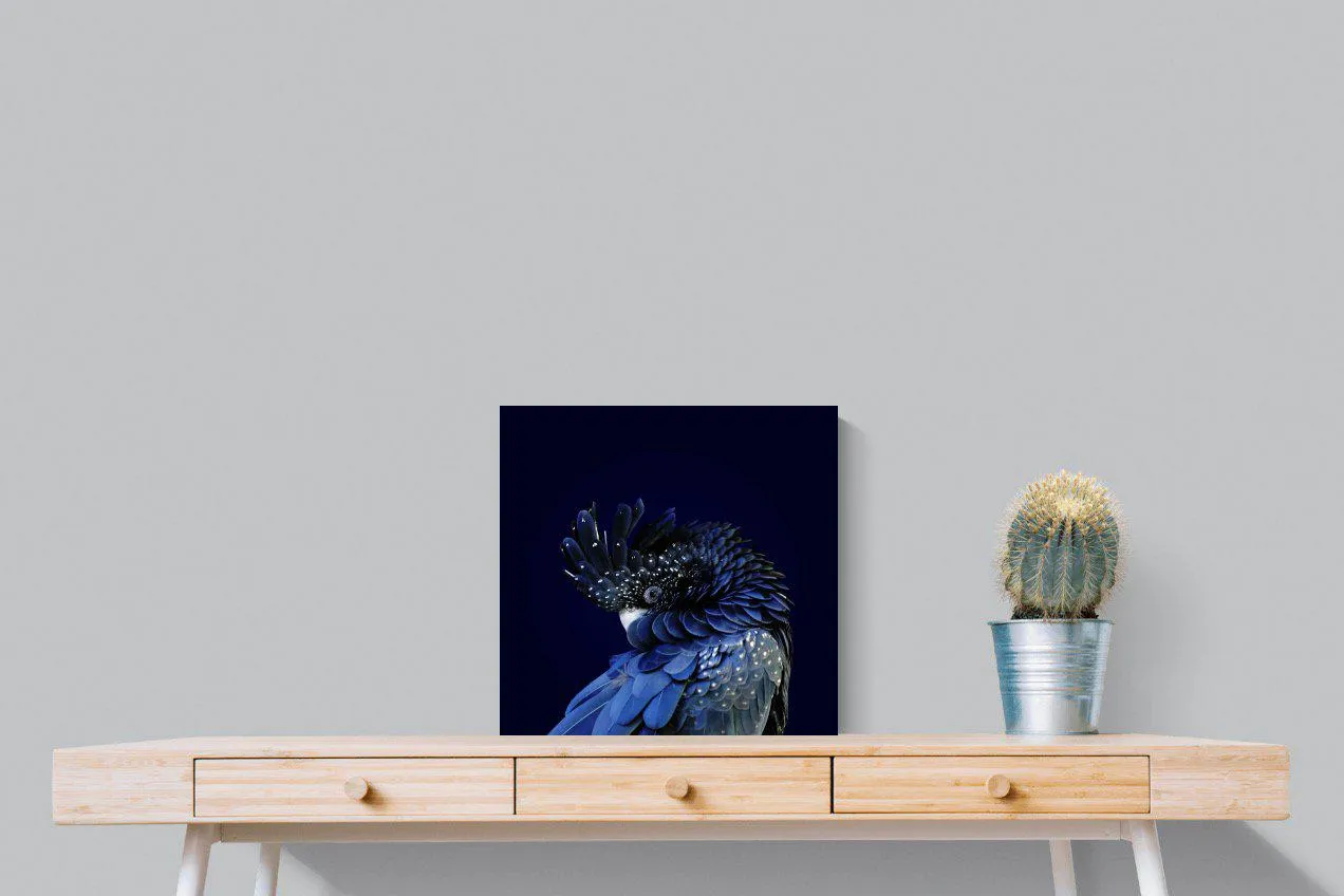 Cockatoo