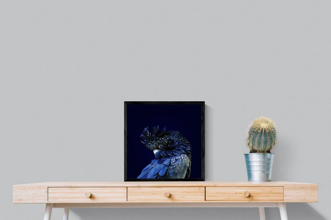 Cockatoo