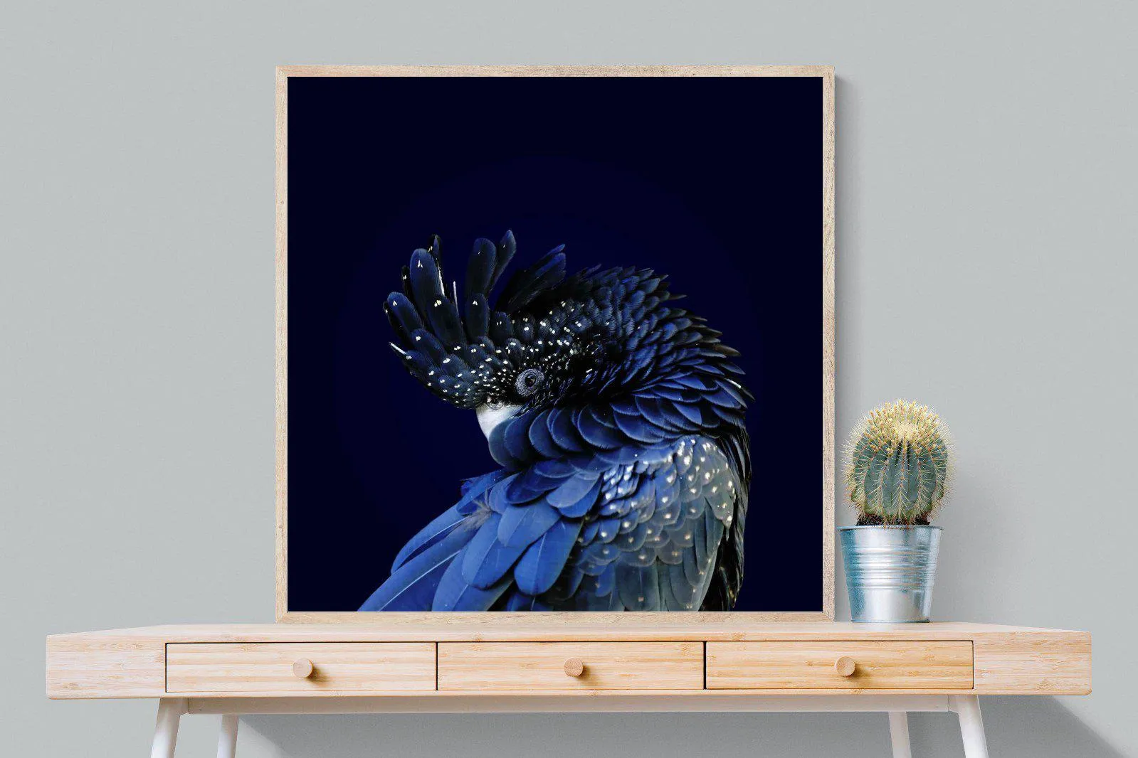 Cockatoo