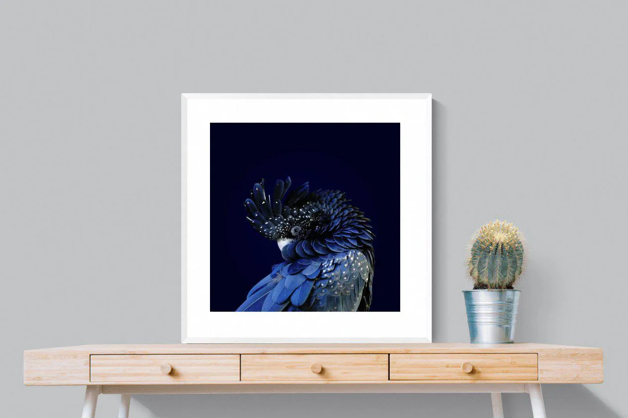 Cockatoo