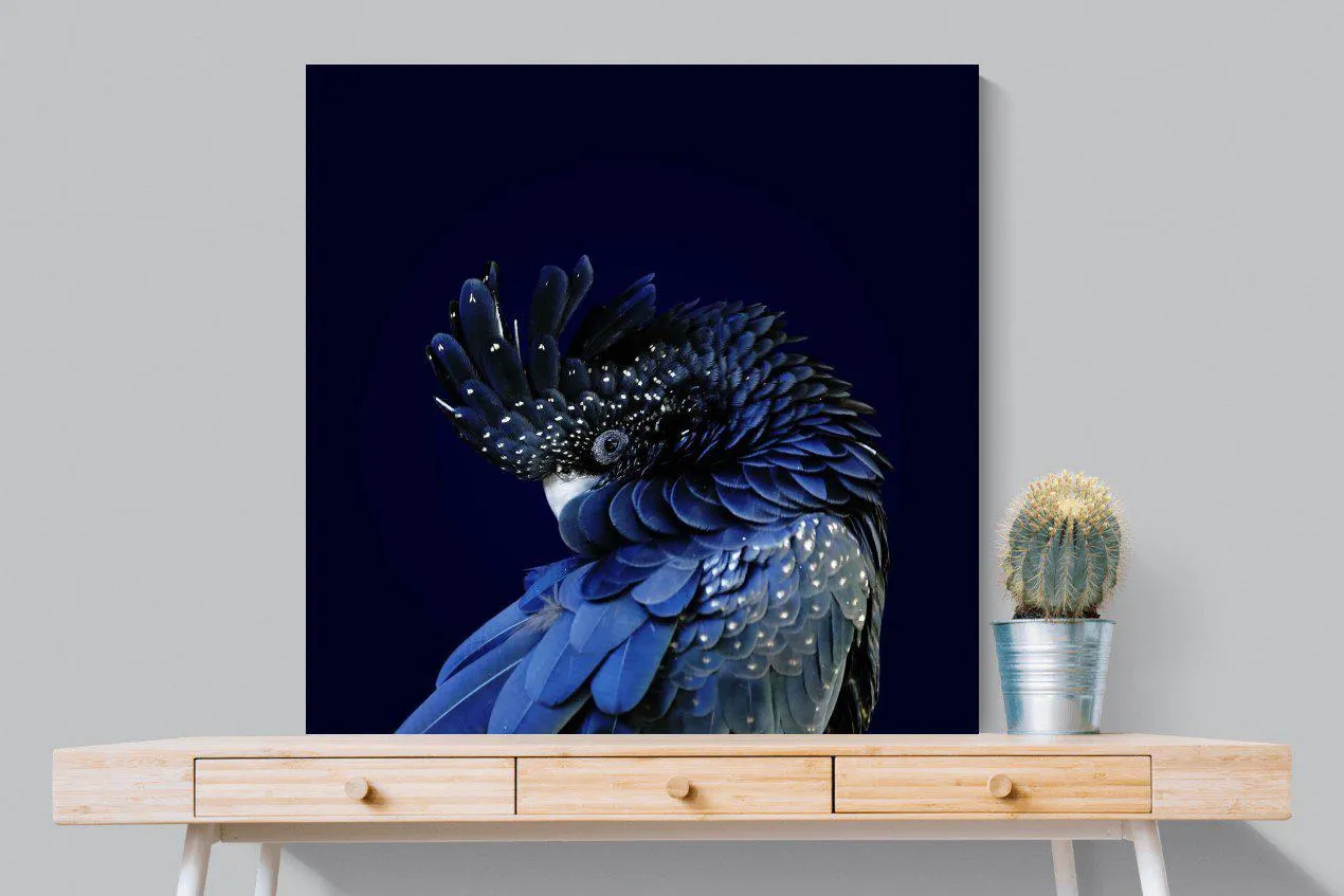 Cockatoo