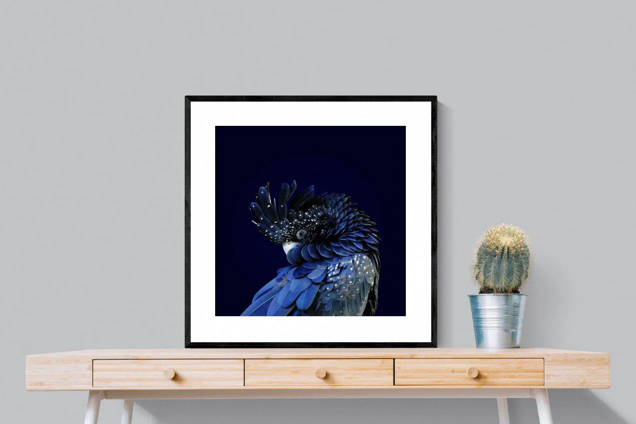Cockatoo
