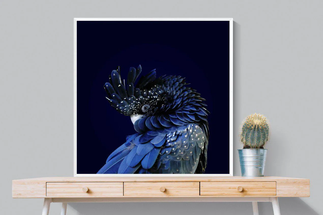 Cockatoo
