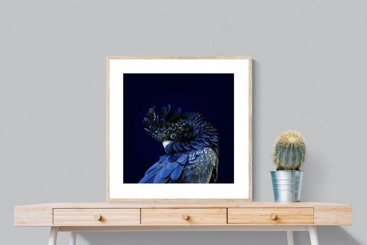 Cockatoo