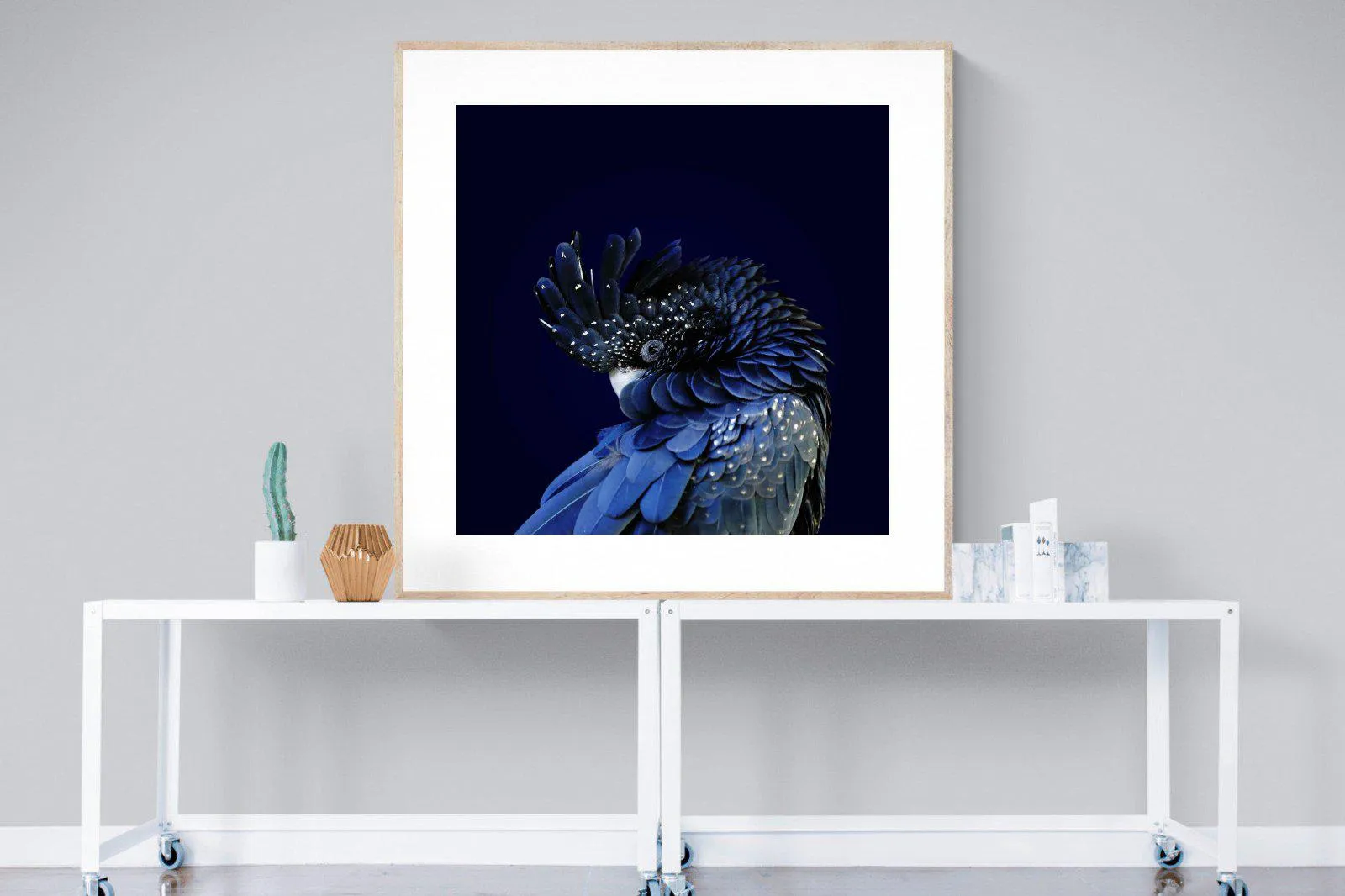 Cockatoo