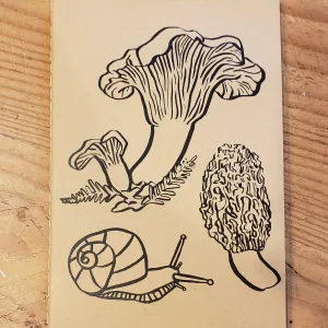 Forest Mushrooms - Large Lined Notebook