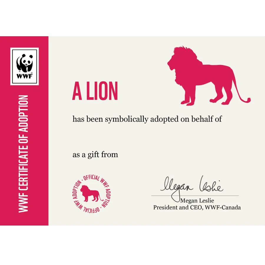 Lion adoption card