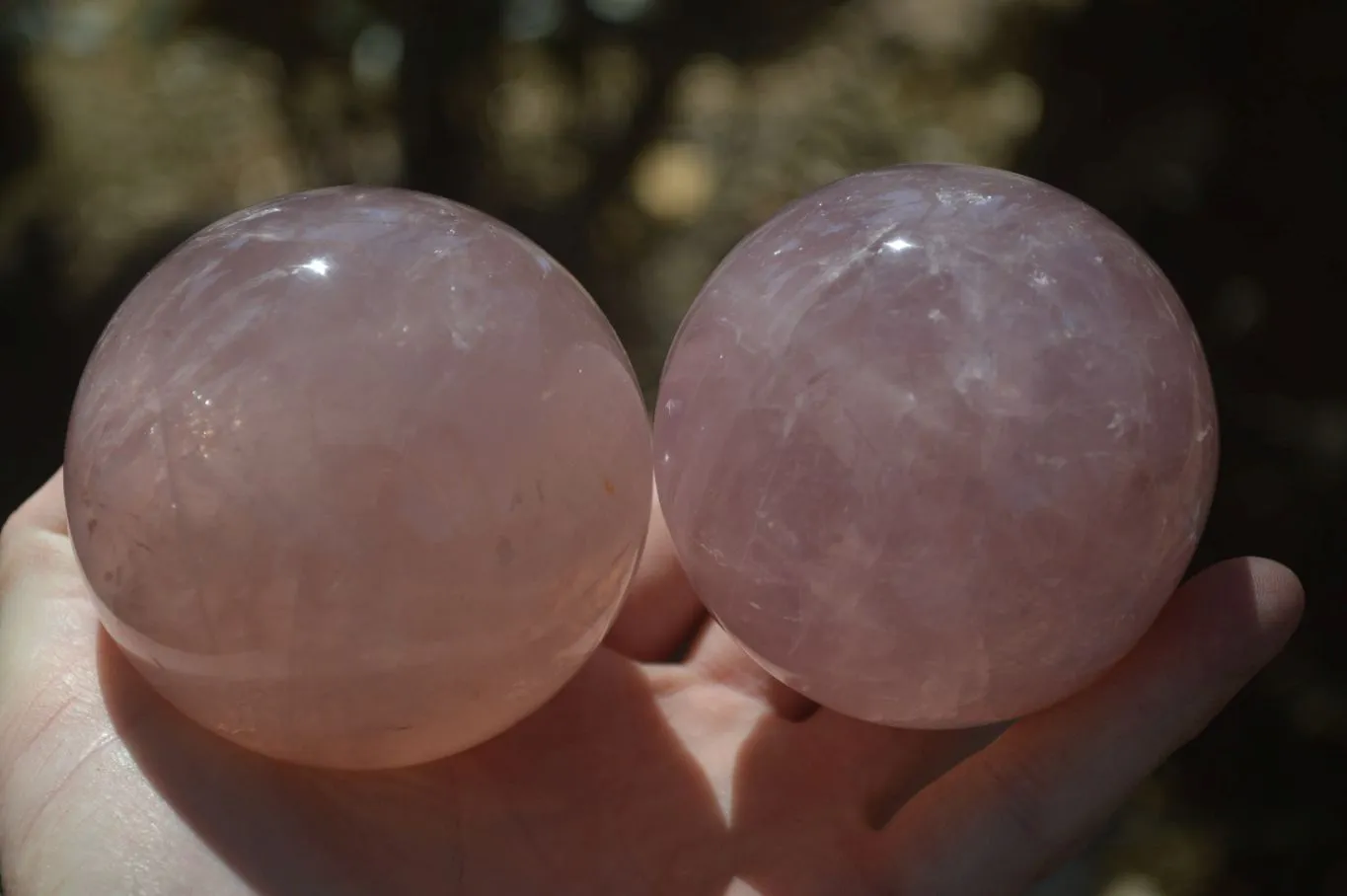 Polished Star Rose Quartz Spheres x 2 From Madagascar